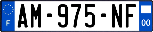 AM-975-NF
