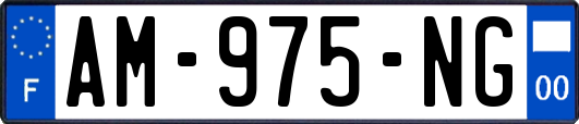 AM-975-NG