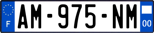 AM-975-NM