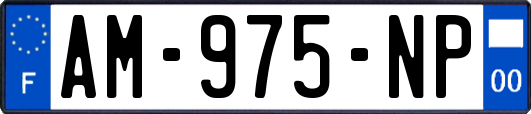 AM-975-NP