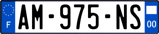 AM-975-NS