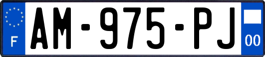 AM-975-PJ