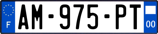 AM-975-PT