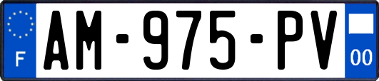 AM-975-PV