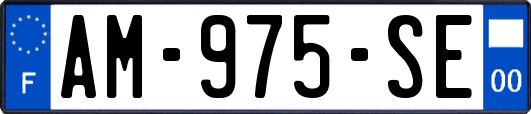 AM-975-SE