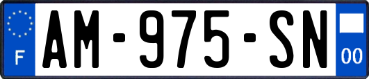AM-975-SN