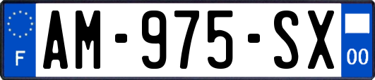 AM-975-SX