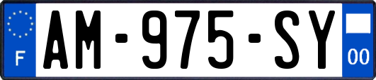 AM-975-SY