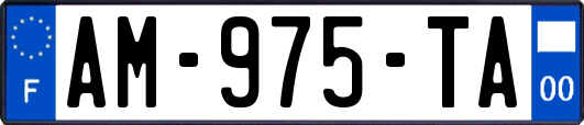 AM-975-TA