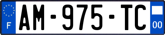 AM-975-TC