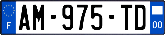 AM-975-TD