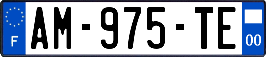 AM-975-TE