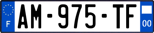AM-975-TF