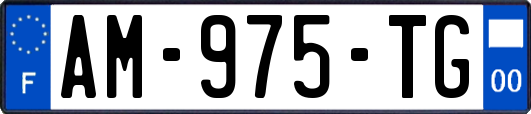 AM-975-TG