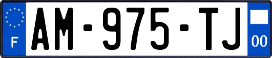 AM-975-TJ