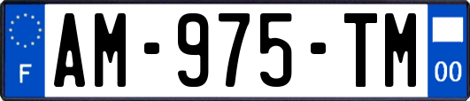 AM-975-TM