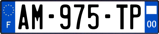 AM-975-TP