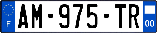AM-975-TR