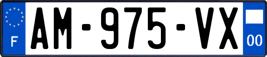 AM-975-VX