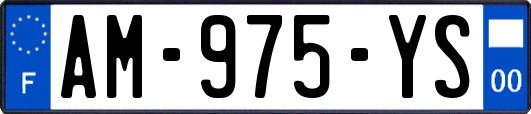 AM-975-YS