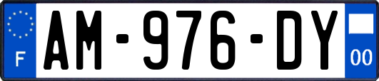 AM-976-DY