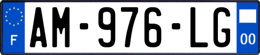 AM-976-LG