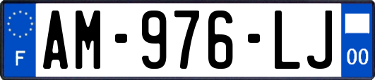 AM-976-LJ
