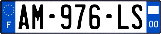 AM-976-LS