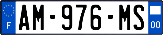 AM-976-MS