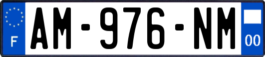 AM-976-NM