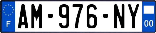 AM-976-NY
