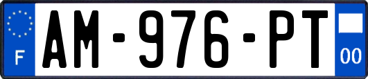 AM-976-PT