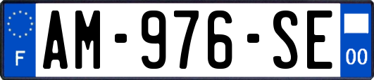 AM-976-SE