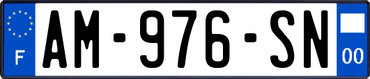 AM-976-SN