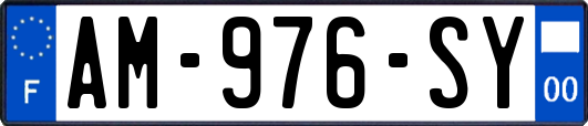 AM-976-SY