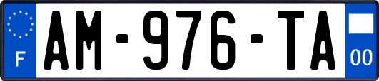 AM-976-TA