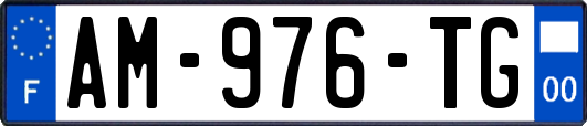 AM-976-TG