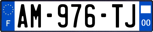 AM-976-TJ
