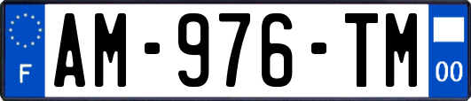 AM-976-TM