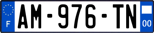 AM-976-TN