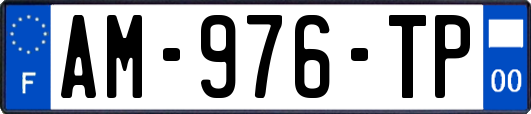 AM-976-TP