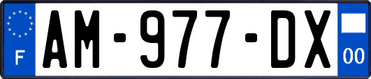 AM-977-DX