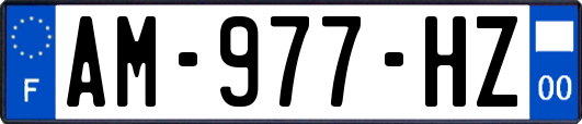 AM-977-HZ