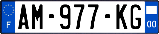 AM-977-KG