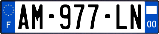 AM-977-LN