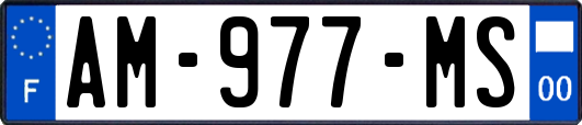 AM-977-MS