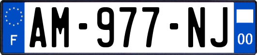 AM-977-NJ