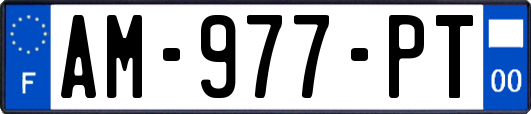 AM-977-PT