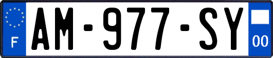 AM-977-SY