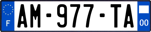 AM-977-TA